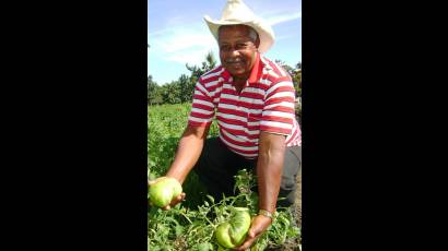 José Poll Díaz