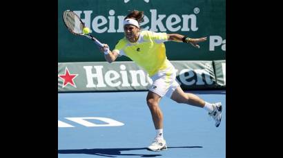 David Ferrer 