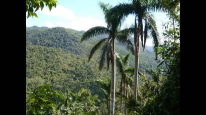 Paisajes cubanos