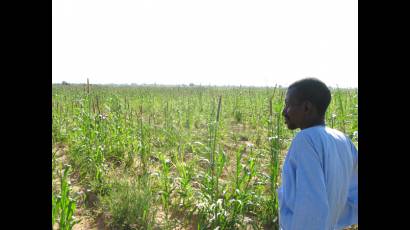 Escasez de tierras en África
