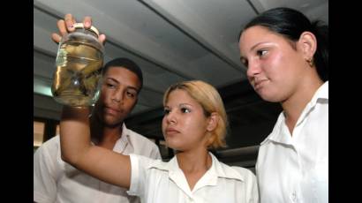 Jóvenes estudiantes 