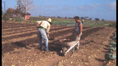 Campesinos en el surco