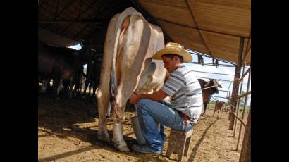 Ordeño manual