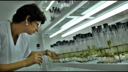 Ciencia aplicada a la agricultura