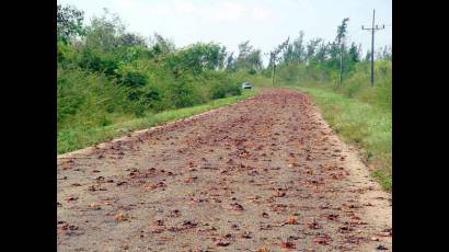 Carretera de Playa Larga a Girón