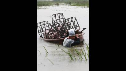 Inundaciones en Tailandia