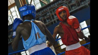 Boxeo cubano