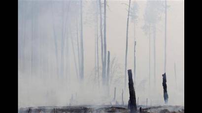 Incendios en Rusia 