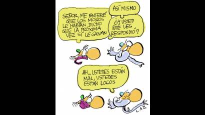 Don Quijote 