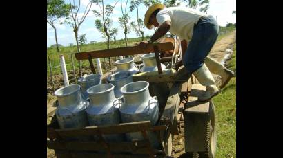 Cantinas de leche fresca