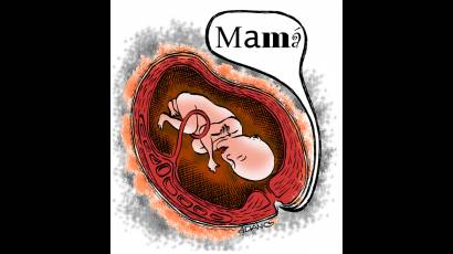 Lenguaje fetal