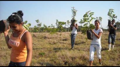 Escuelas cubanas asociadas a la UNESCO 