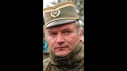 General Mladic
