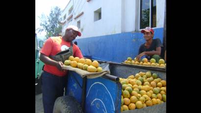 Carretilleros 