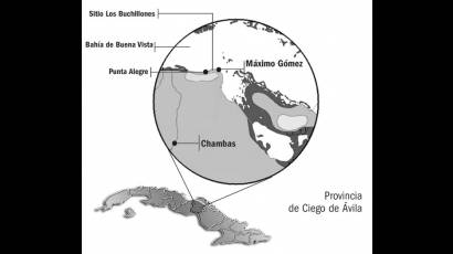 Área Arqueológica de Los Buchillones