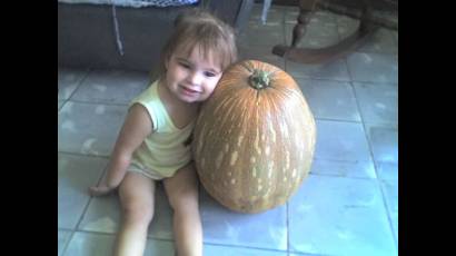 Calabaza gigante