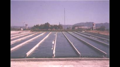 Instalación para el cultivo masivo de Chlorella vulgaris
