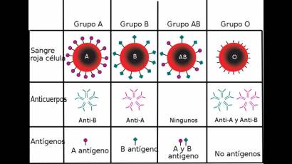 Grupos de sangre