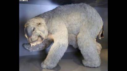 Marsupial prehistórico
