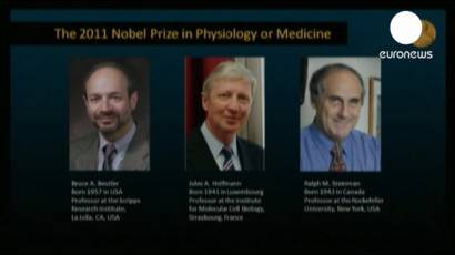 Nobel de Medicina y Fisiología para tres expertos en inmunología 