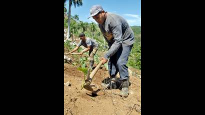 Agricultura 