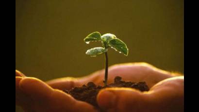 Ciencias agrícolas