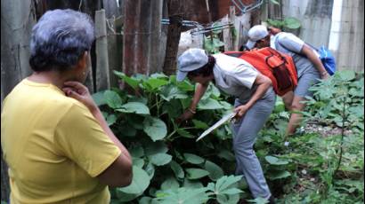 Programa de Control de Aedes aegypti