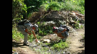 Enfrentamiento al Aedes aegypti