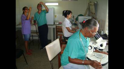 Enfrentamiento al Aedes aegypti 