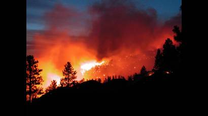 Incendios forestales en Chile