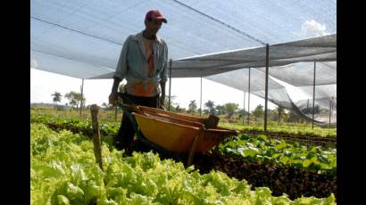 Agricultura 