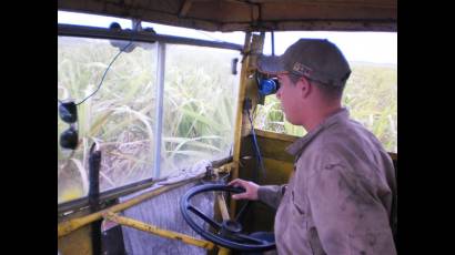 Producción azucarera