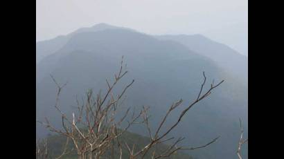 Pico Cristal