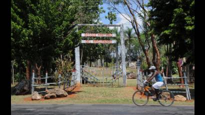 Bosque Martiano 