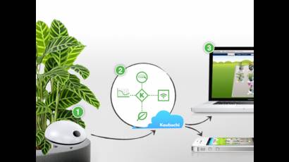 Wi-fi para plantas