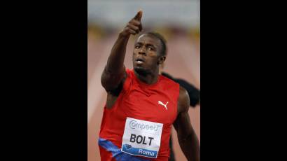 Bolt 