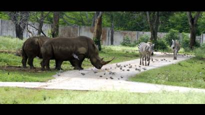 Parque Zoológico Nacional