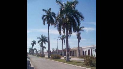Desarrollo local