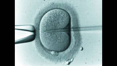 Reproducción in vitro