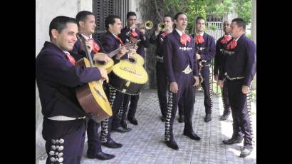 Mariachis