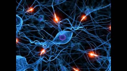 Movimiento neuronal