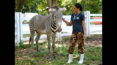 Criaturas del Zoológico Nacional de Cuba