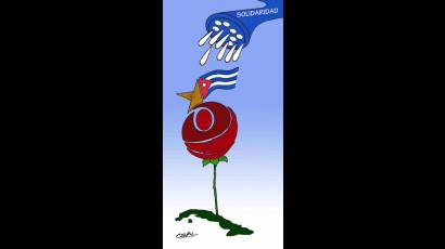 Solidaridad