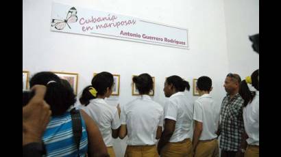 Exposición Cubanía en mariposas