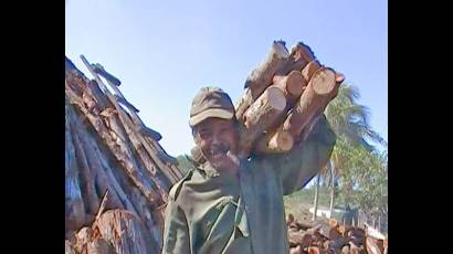 Dagoberto Monterrey