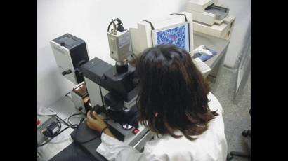 Industria biotecnológica