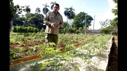 Unidades Básicas de Producción Cooperativas 