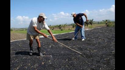 Agricultura