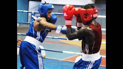 Nacional Juvenil de Boxeo