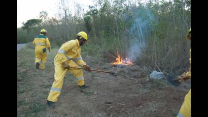 Incendios forestales   